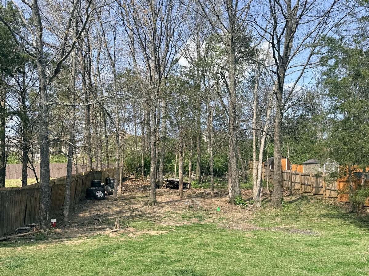 Back Patio