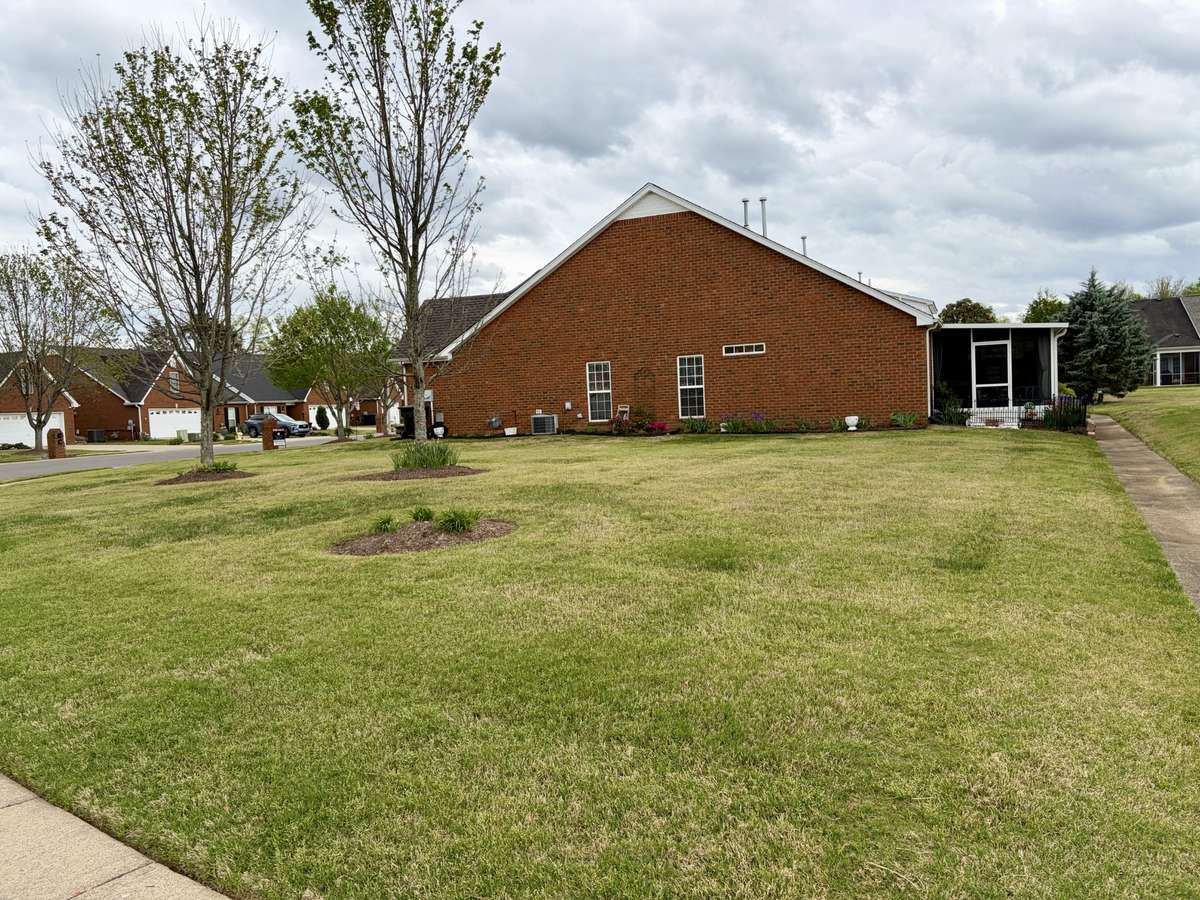 Huge side yard