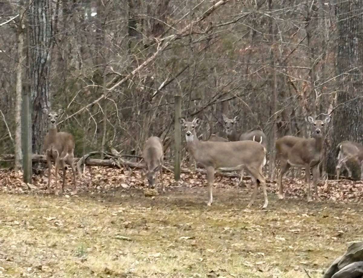 Meet your Neighbors
