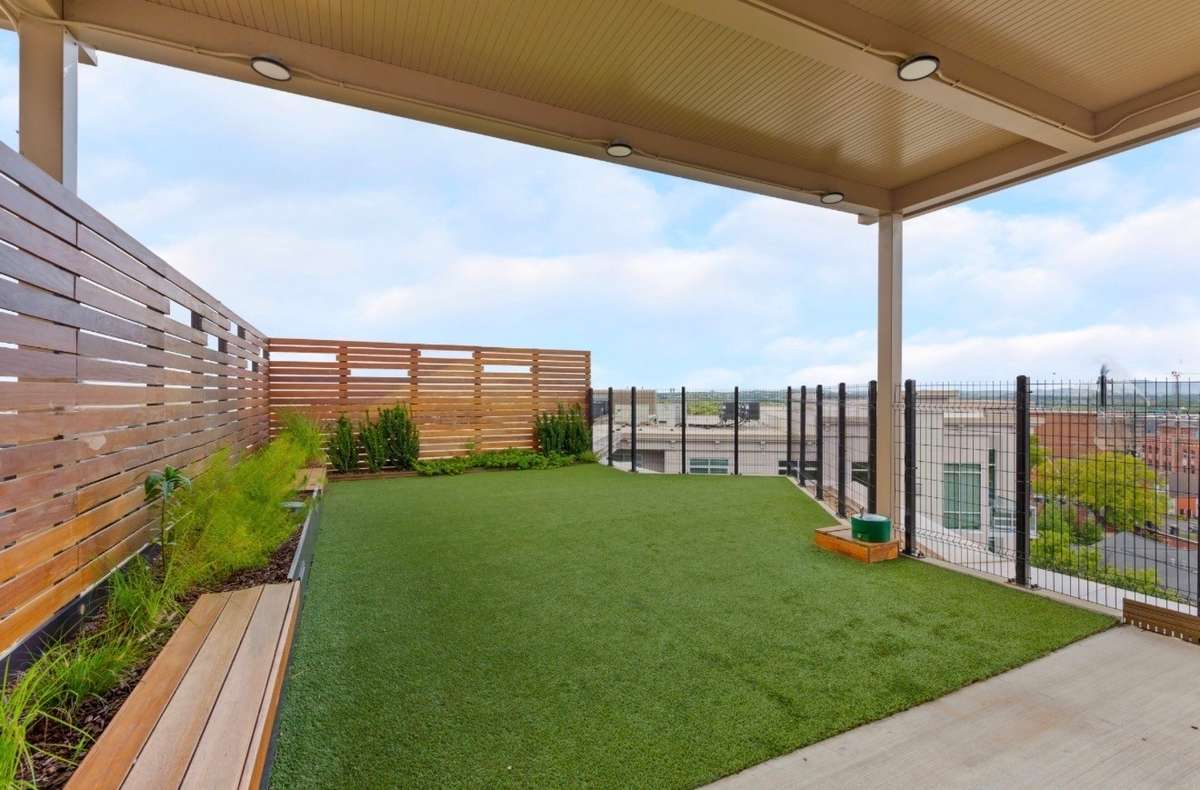 Dog park on rooftop! 