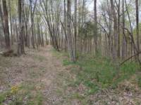 Old road bed to walk and explore.