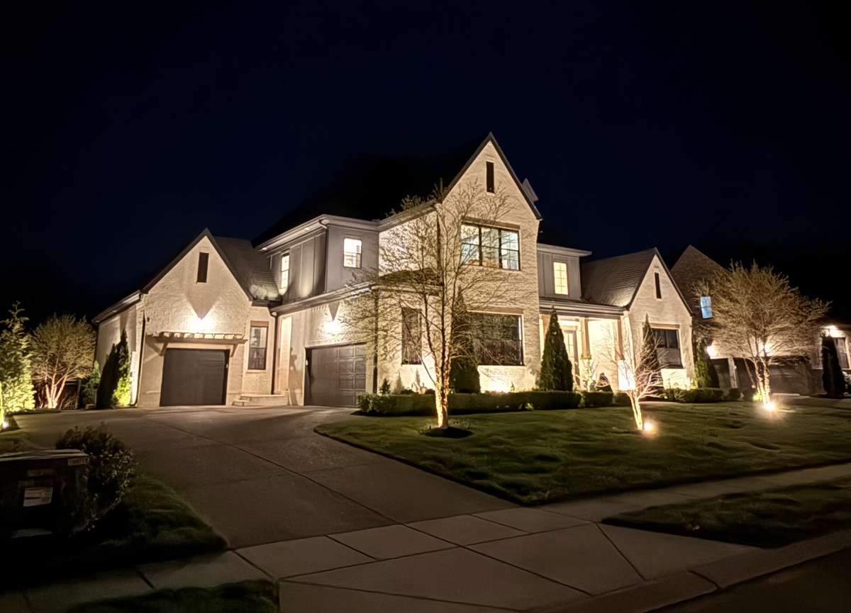 House Lighting and Tree Lighting