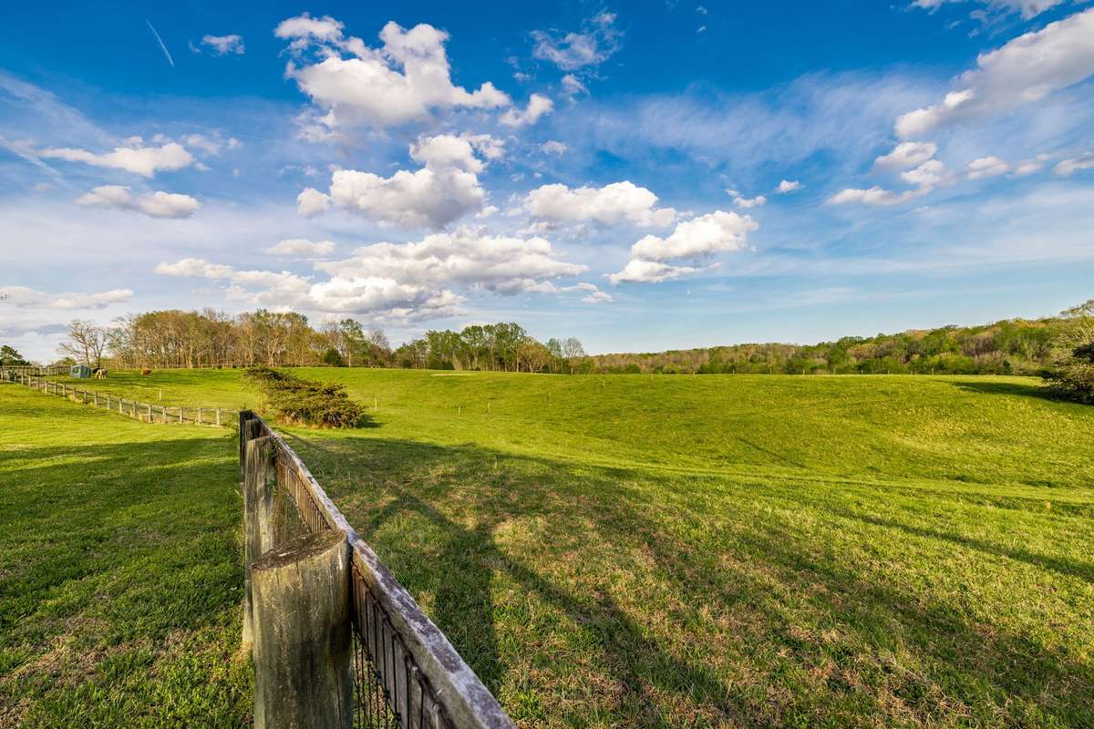 Pasture.