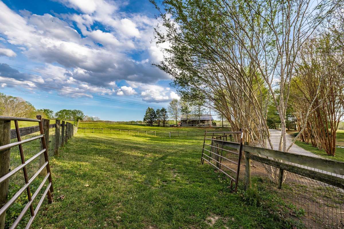 Front paddocks.