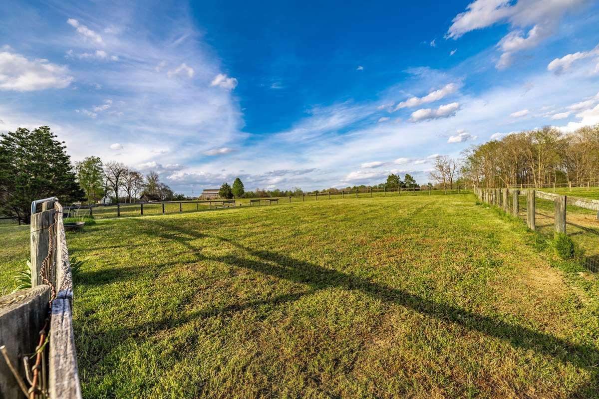 Back paddock.