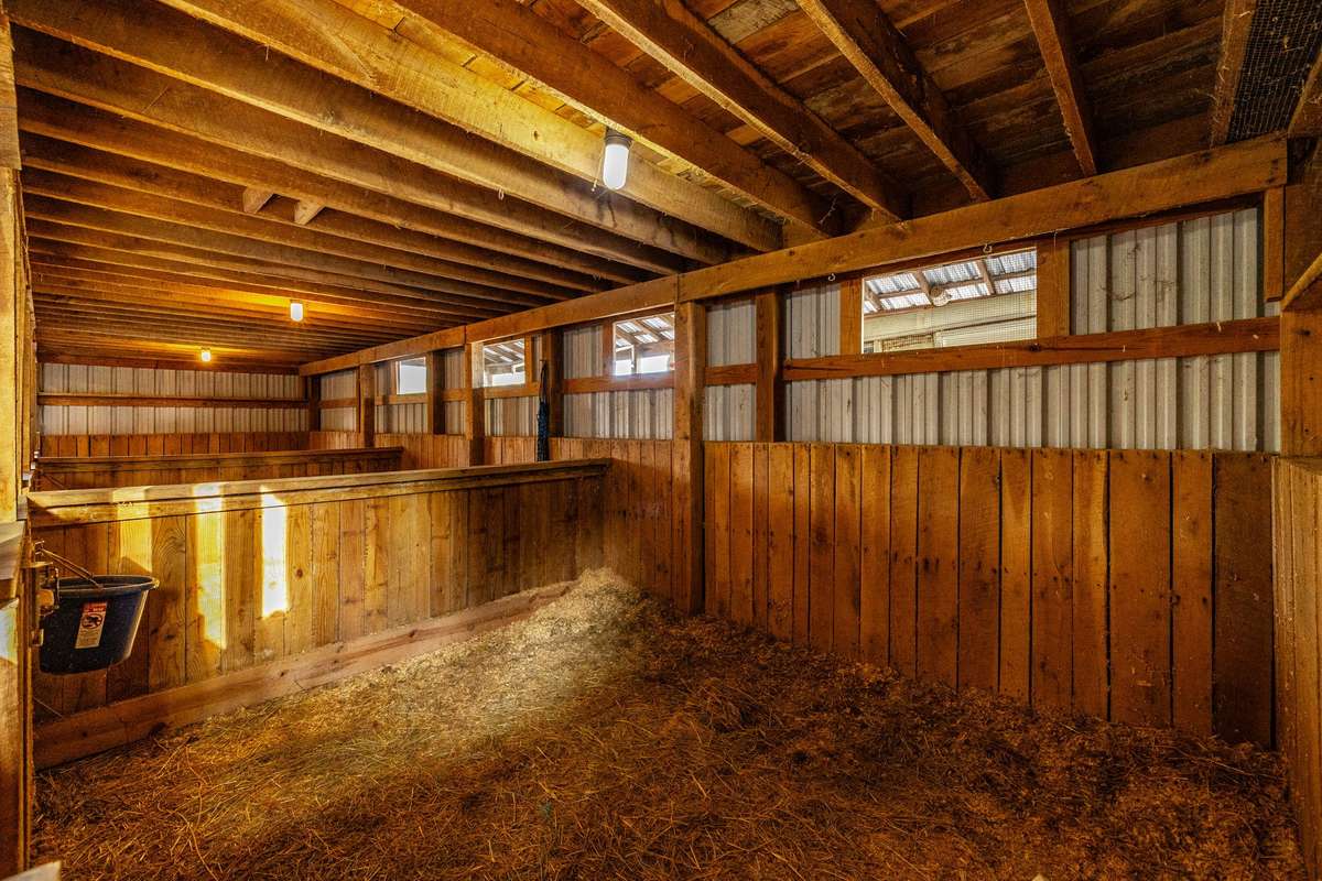 A look into the large stalls.