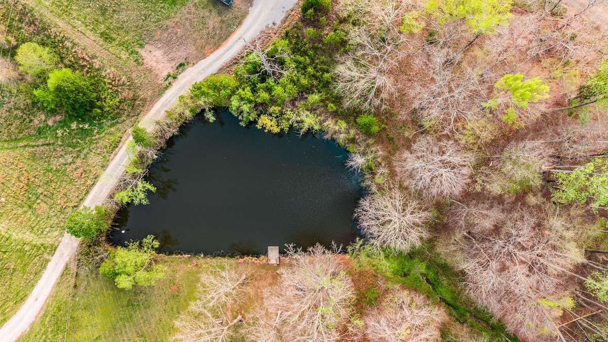 A picturesque 14 foot deep pond with a dock sits just to the left of the home offering beauty and recreation. It is fully stocked with Florida strain large-mouth bass, bream, and crappie . It’s a perfect spot for fishing or relaxing by the water.