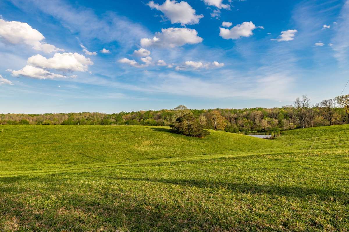 Another view of the beautiful green pastures and the second pond.