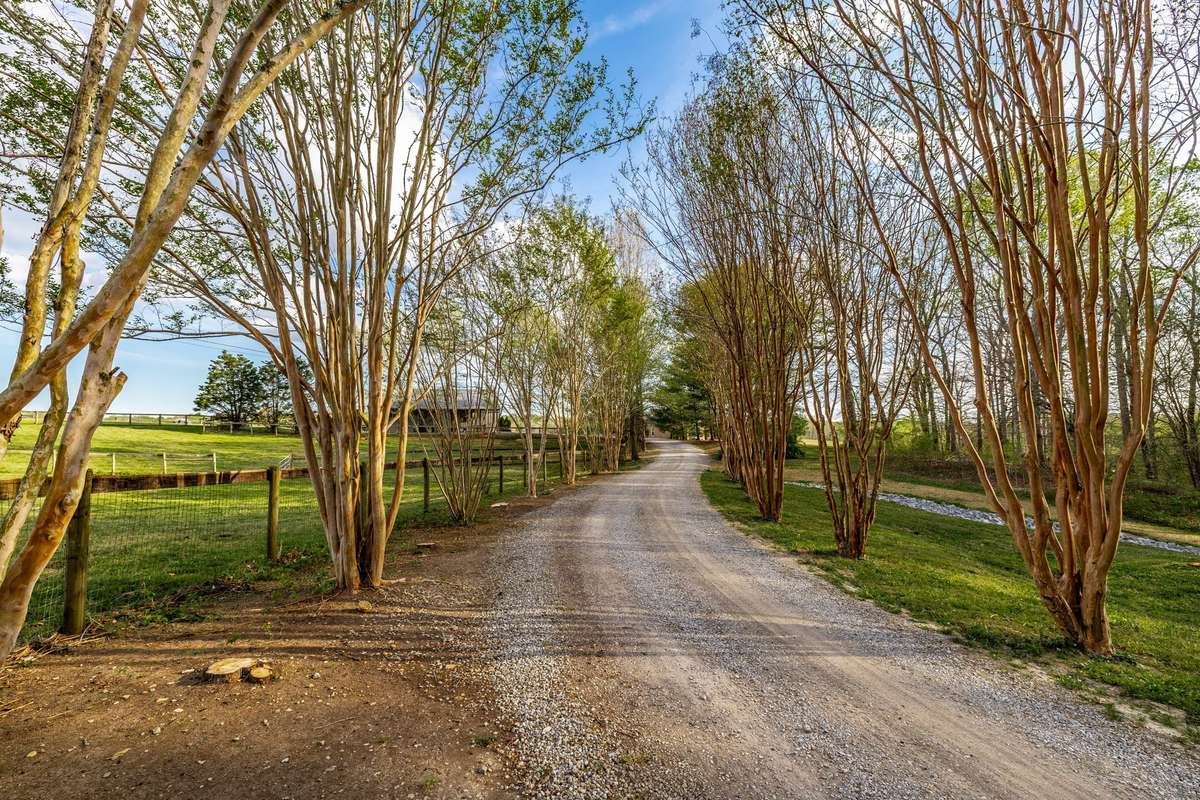 Beautiful drive into the property.