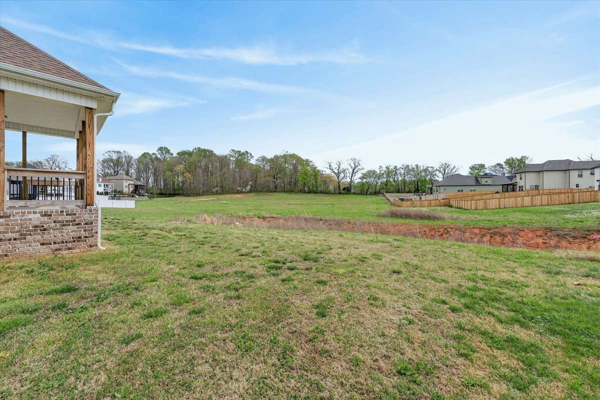 Open backyard with plenty of space for outdoor enjoyment