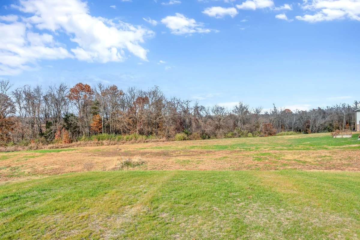 This is the green space behind this home