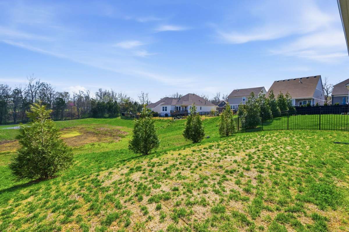 Green Space / Open Field