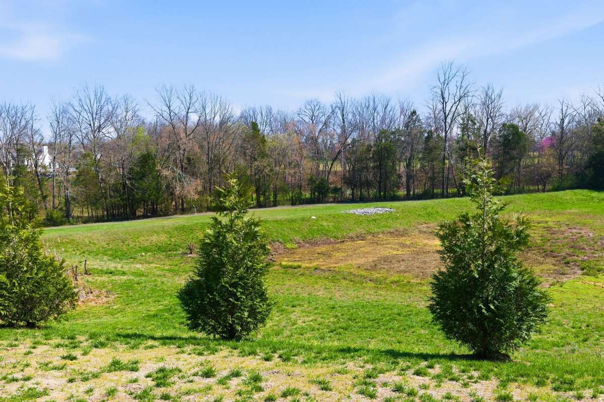 Green Space / Open Field
