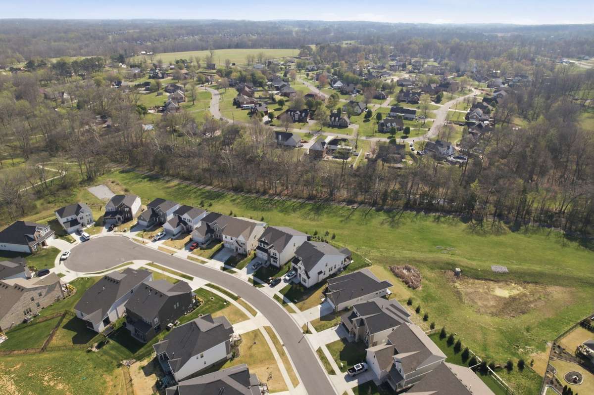 Aerial View of Neighborhood