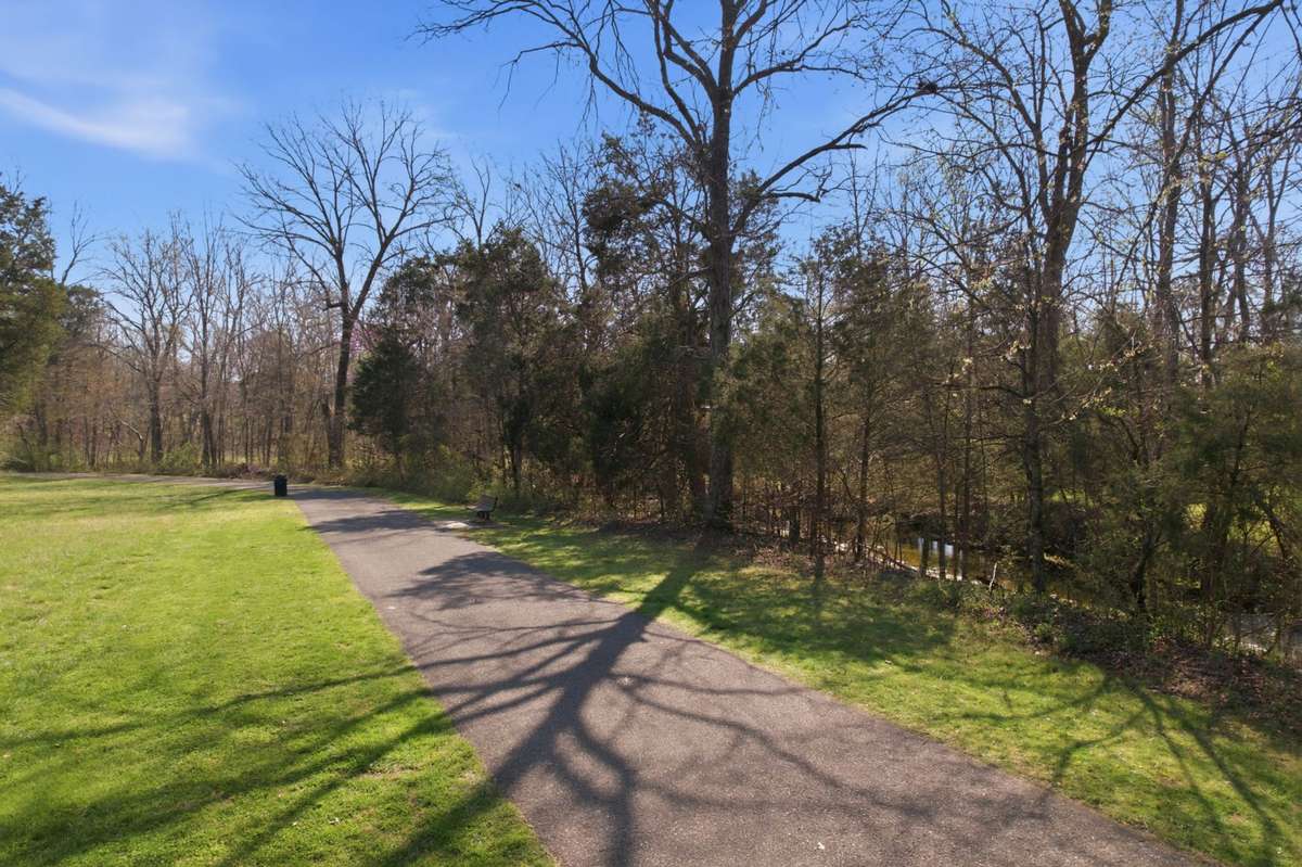 Green Space / Open Field