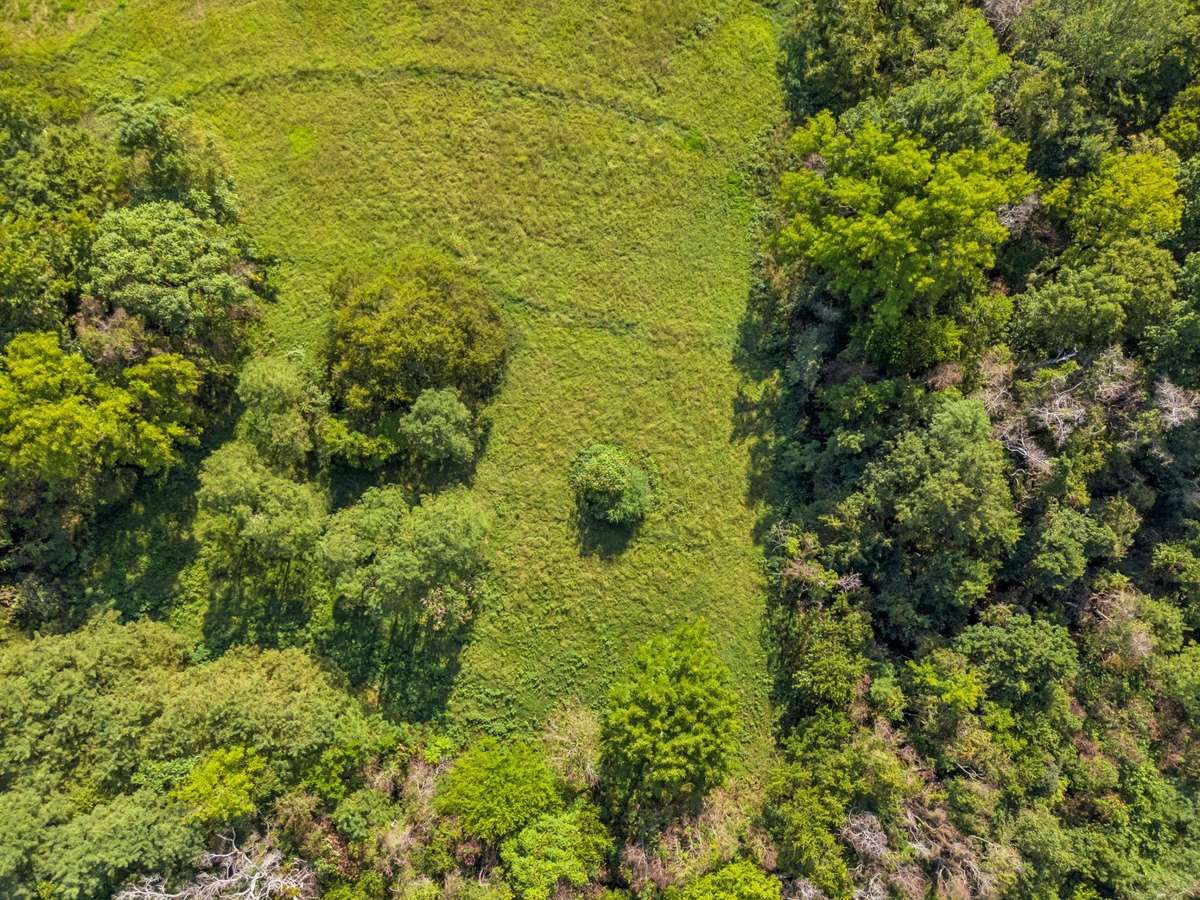 Enjoy breathtakingly high views of the rolling Tennessee hills on this picturesque 5-acre private estate
