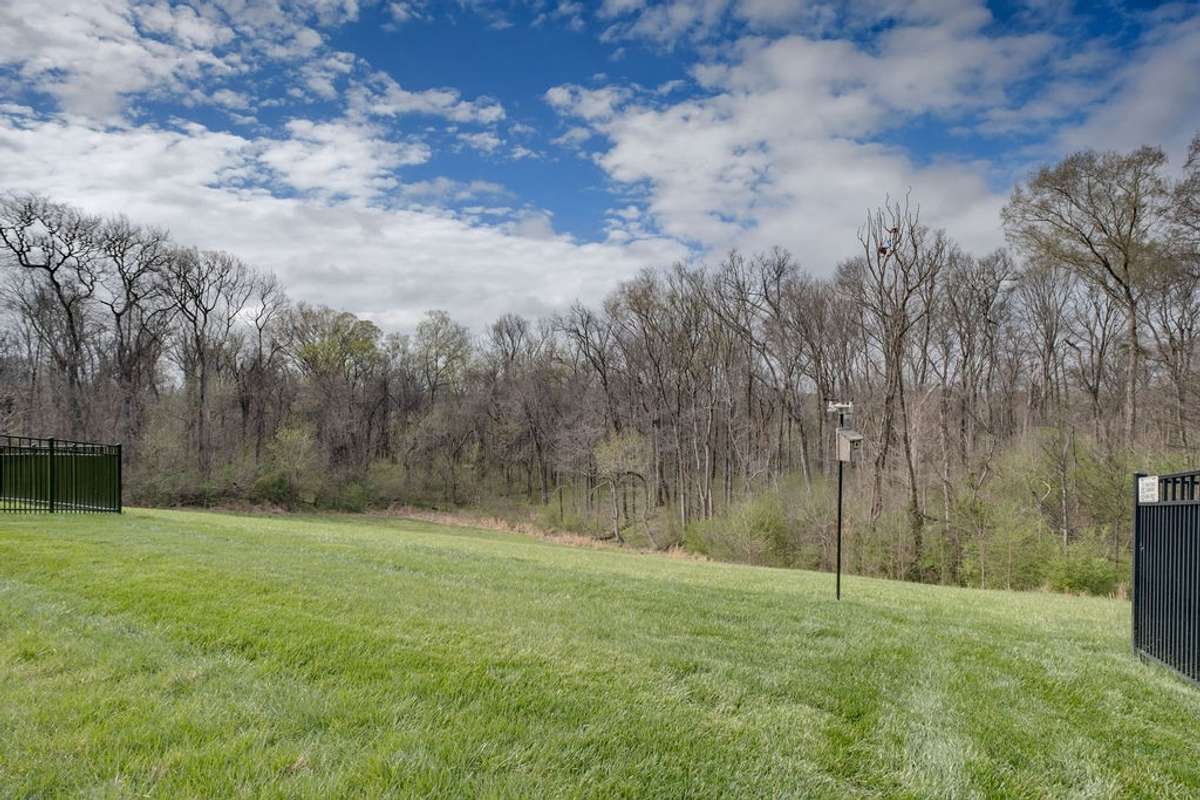 Wooded View - Enjoy watching the deer and sunsets!