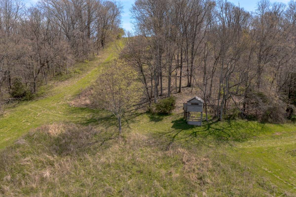 Shooting (or Wildlife observation house) with a 360 degree view