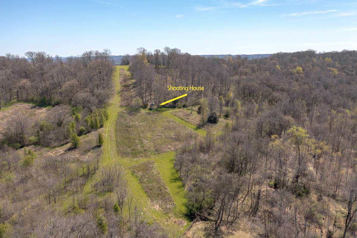 There are trails cut through out this 35+ acre property. Wild blackberry bushes line many of the trails
