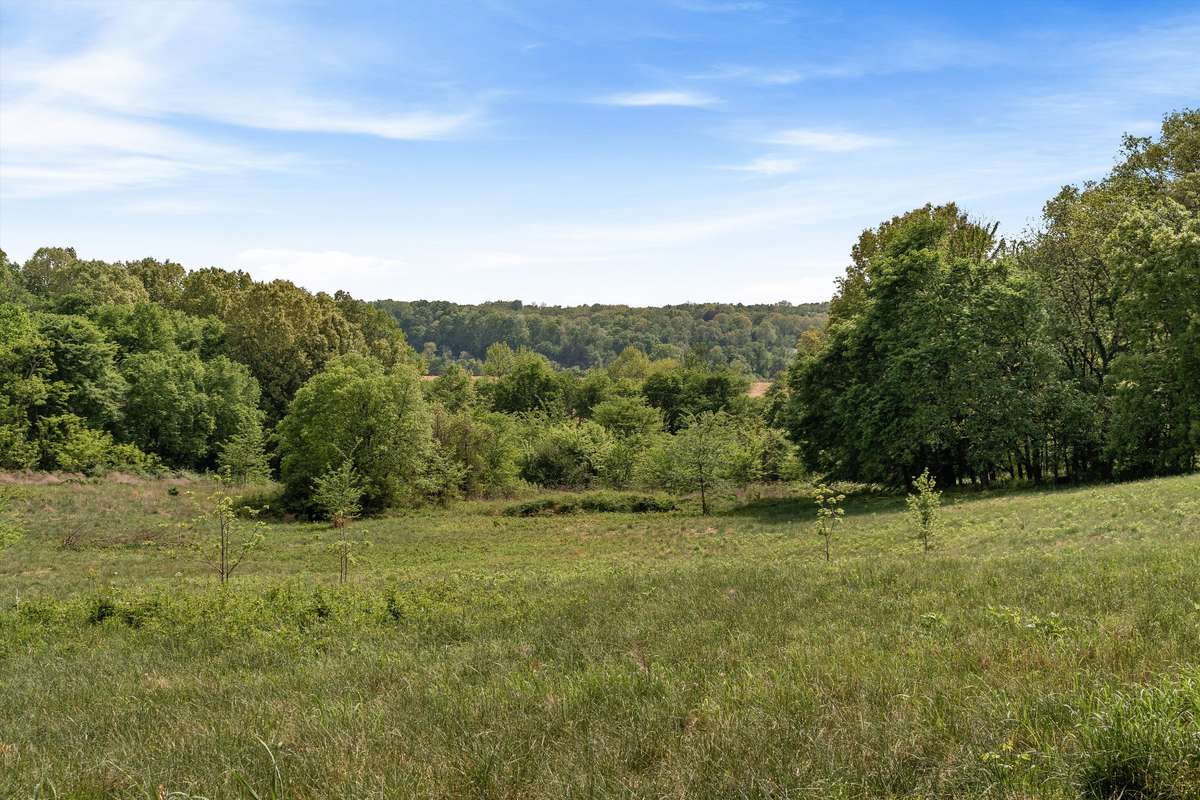 Views toward the Cumberland River from property