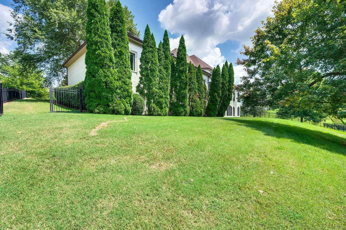 What a lovely backyard.