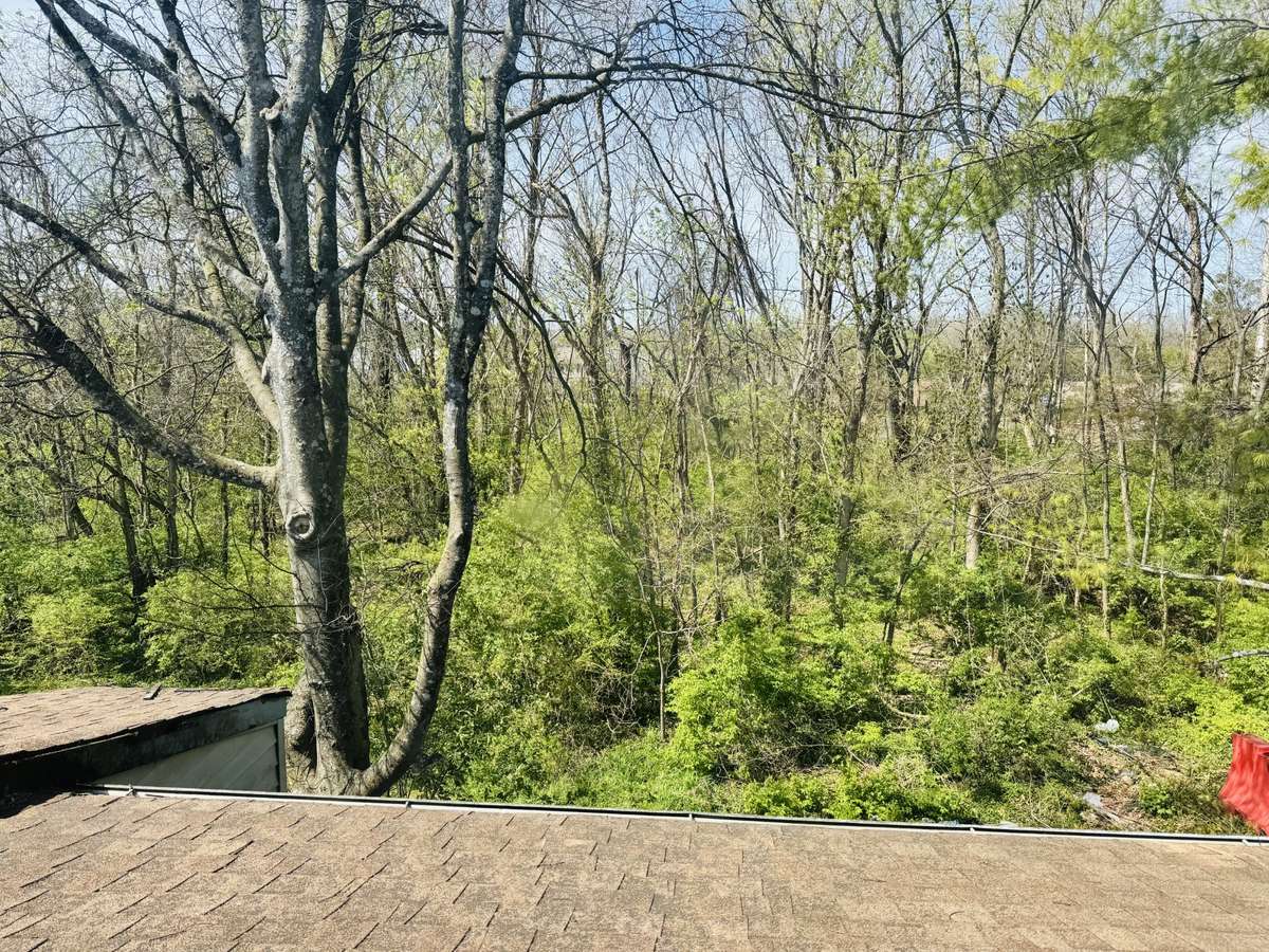 Scenic view of the creek and wooded area from the bedroom