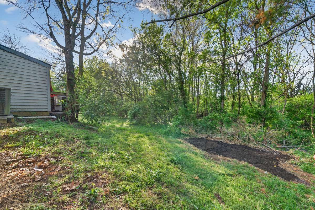 Second View of Backyard