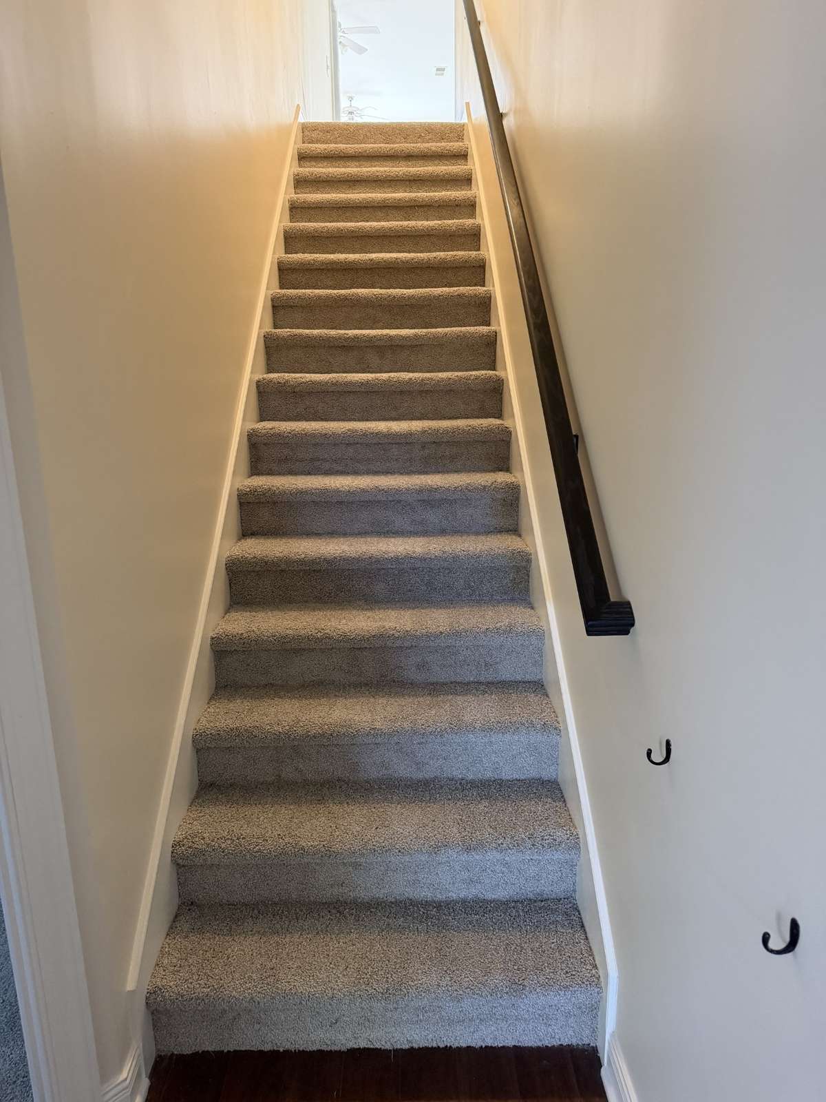 New carpet throughout the home.