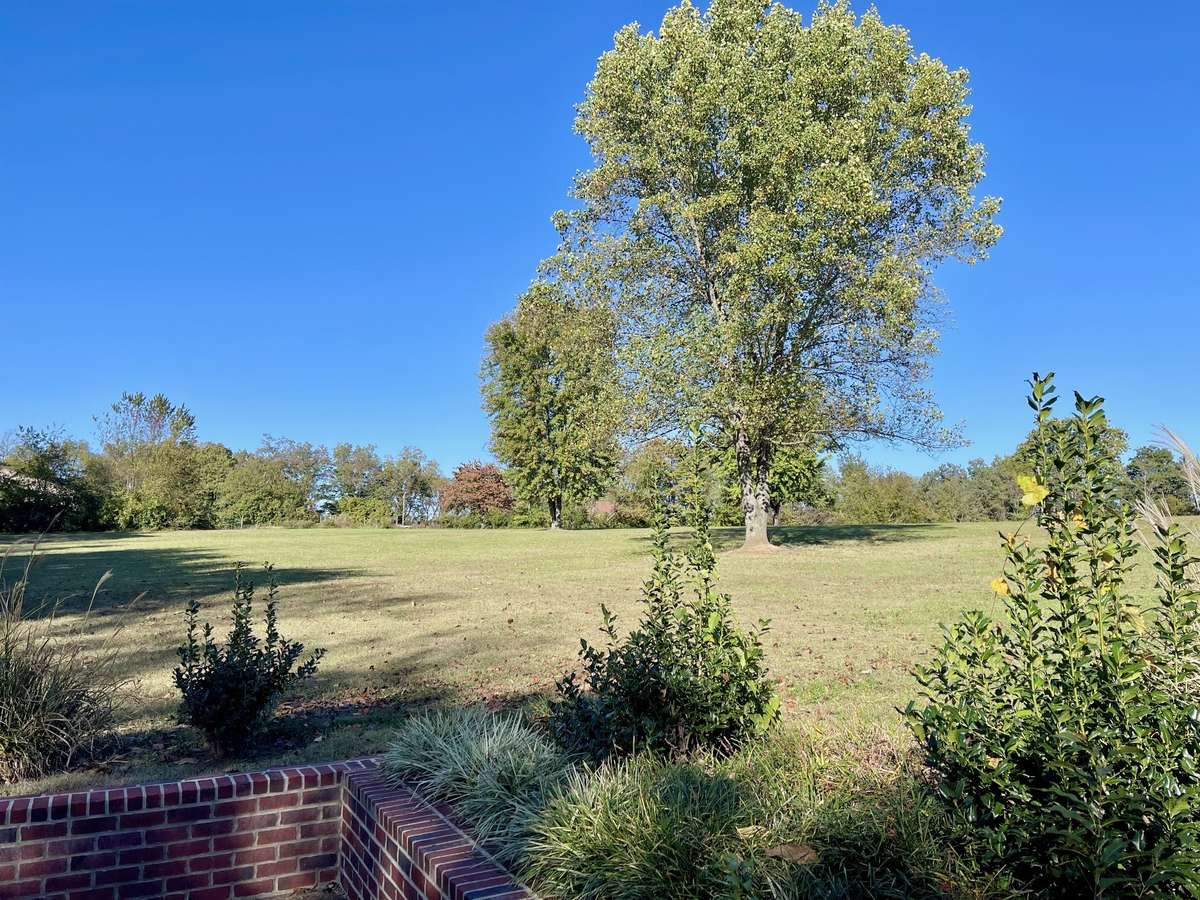 With NO HOA, you’ll enjoy the FREEDOM to truly make this property YOUR OWN—park your RV, add a pool, garden, greenhouse, or workshop, and design the lifestyle that fits you best, with