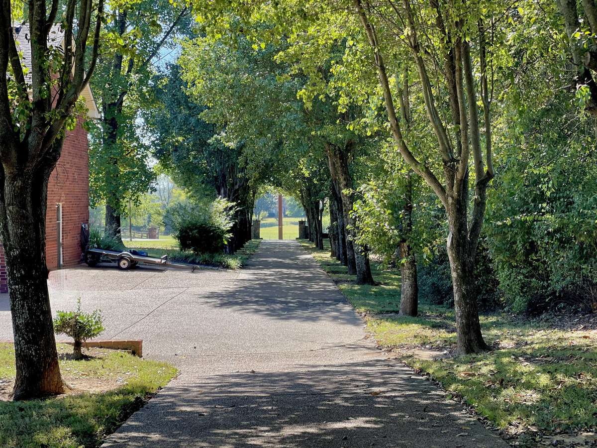 The long, expansive driveway creates an impressive arrival experience while offering abundant parking for family and guests.
