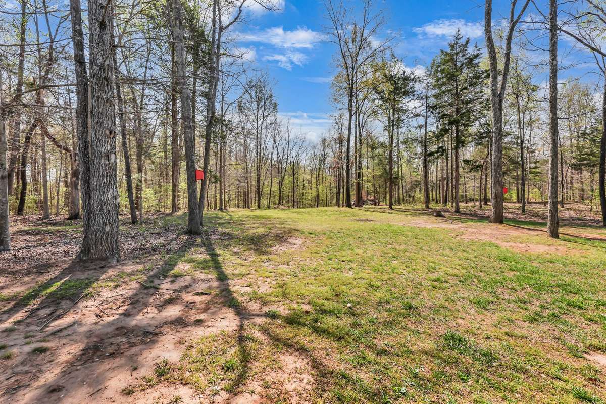 Wooded view and space to ride or wander