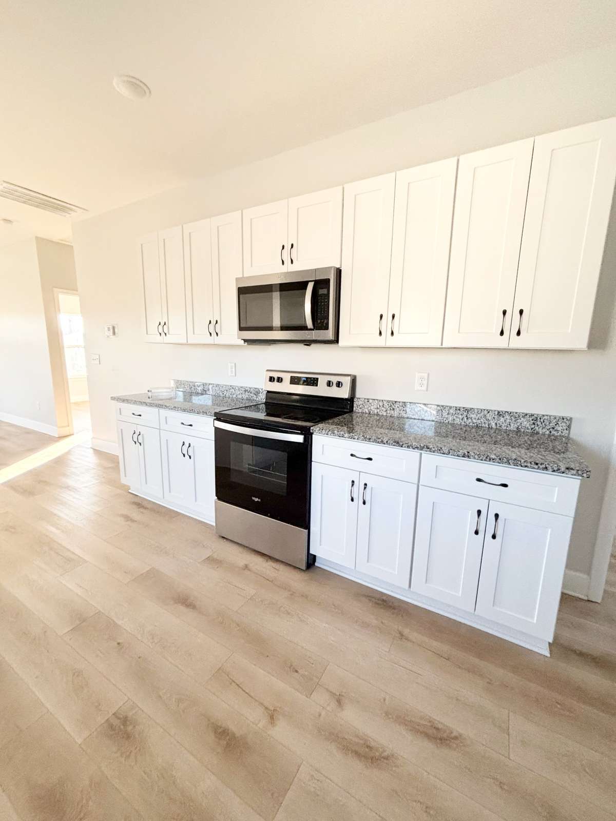 Large kitchen-stainless steel appliances-ample counter and cabinet space