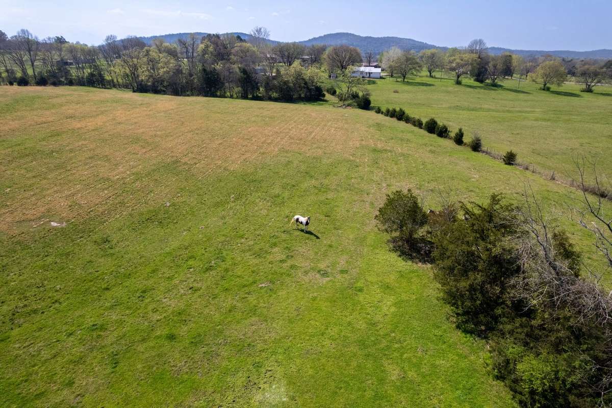 Fenced in Pasture