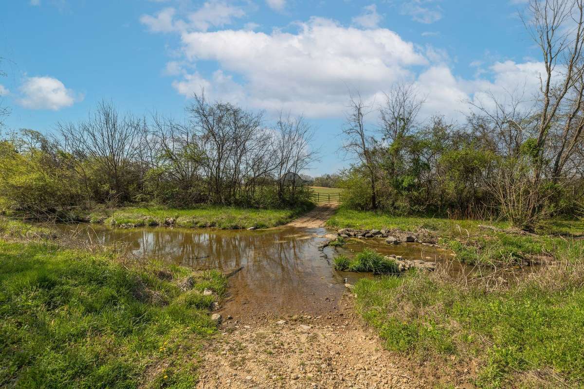 Babbling creek