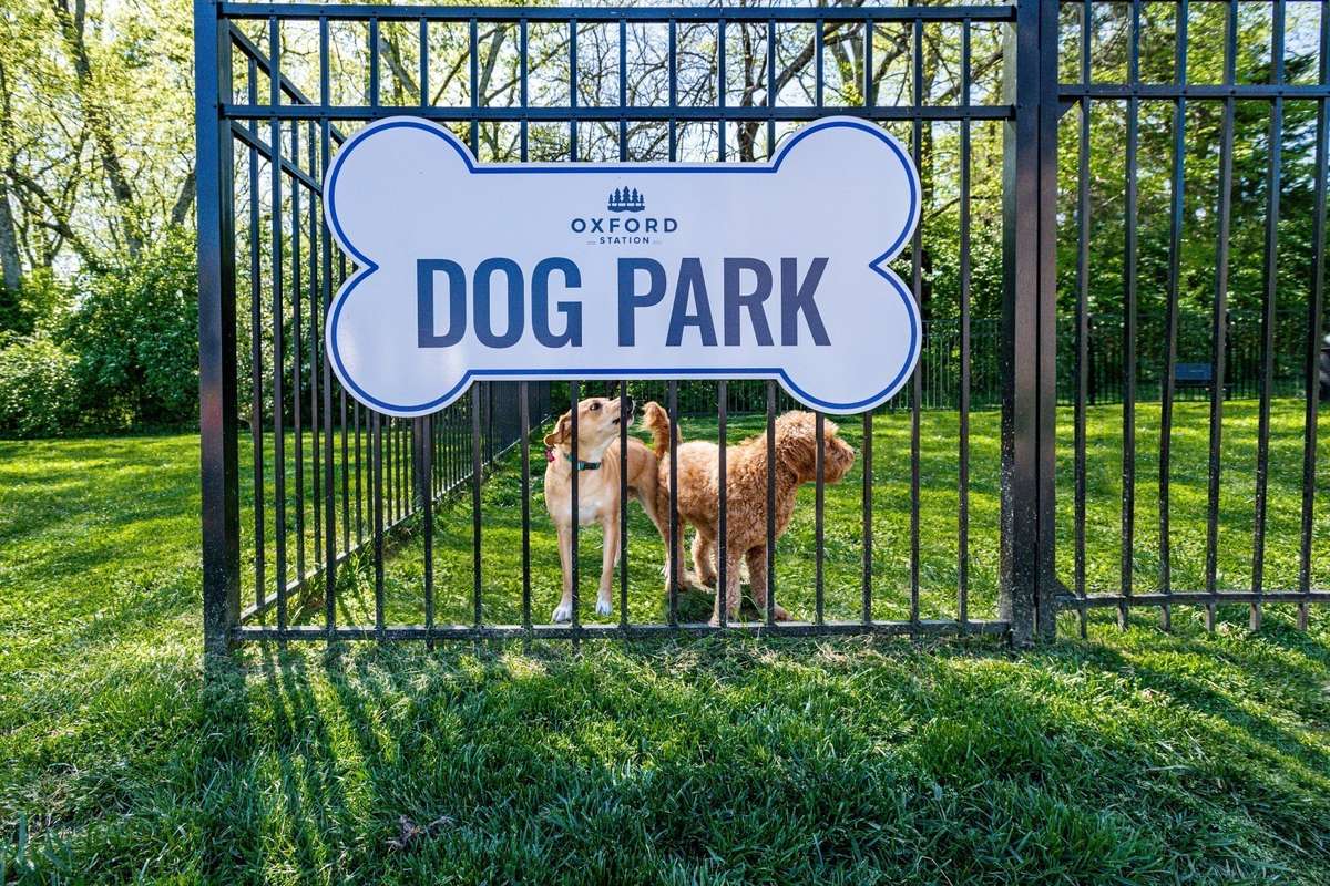 Your furry friend will LOVE our dog park!