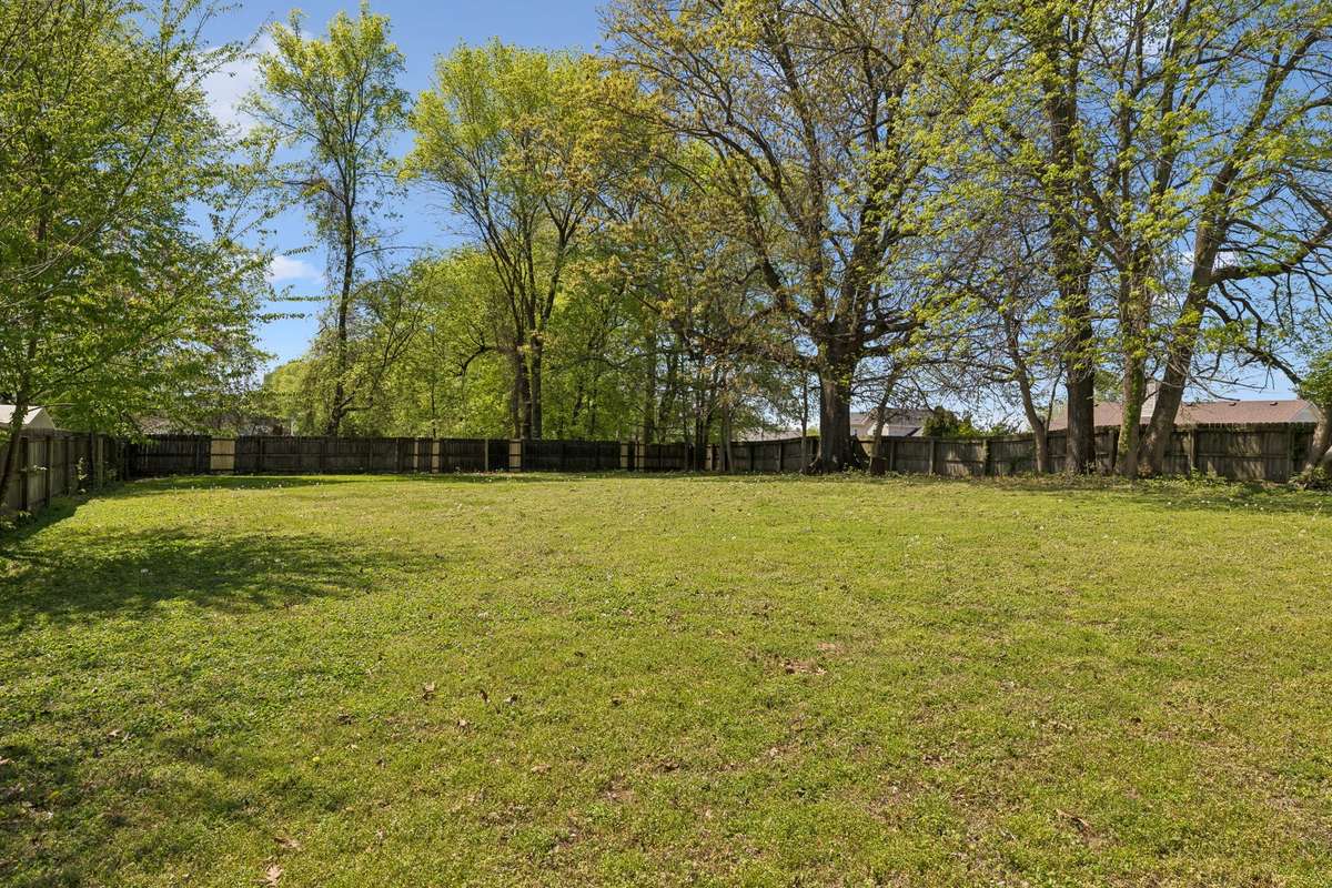 Corner view of the big backyard