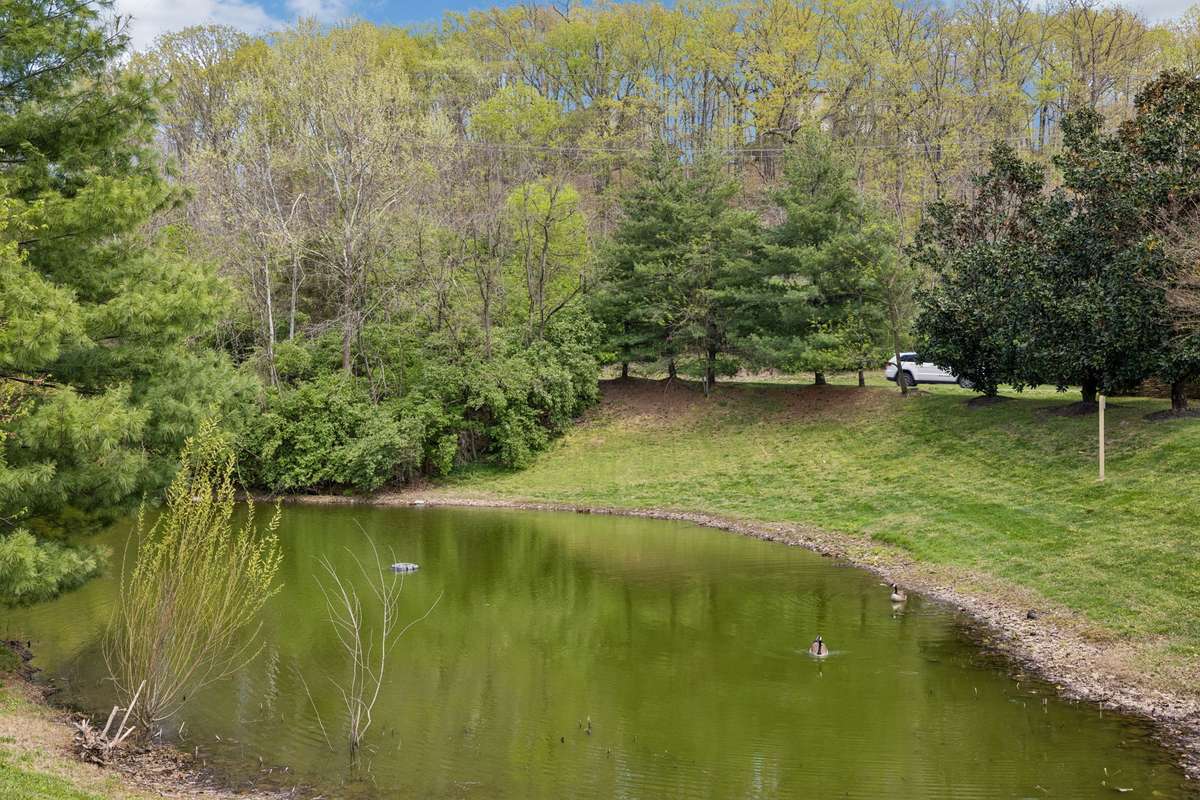 What a lovely setting!  This picturesque pond just beyond the fence provide a tranquil backdrop
