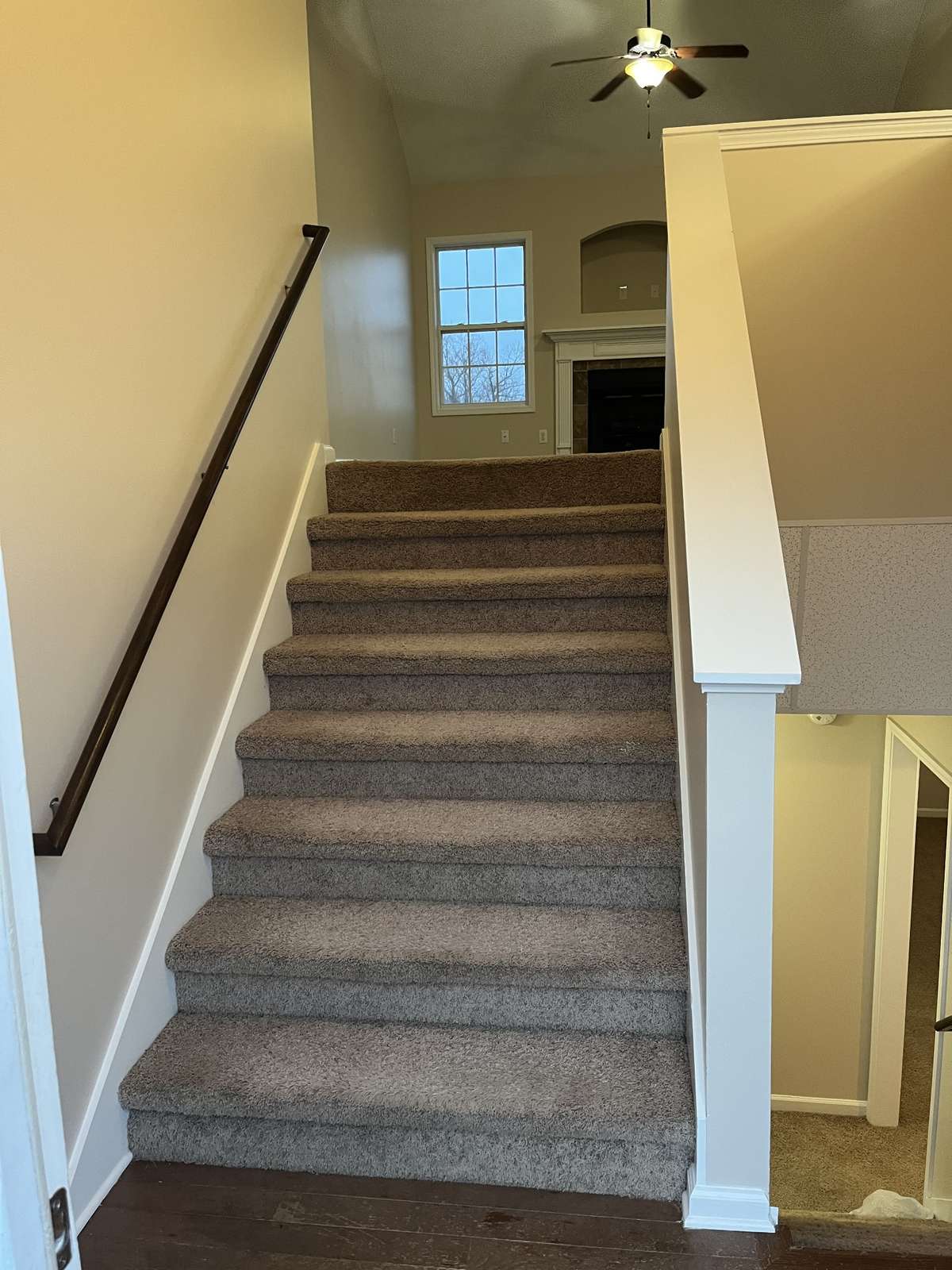 Steps to main level from front door