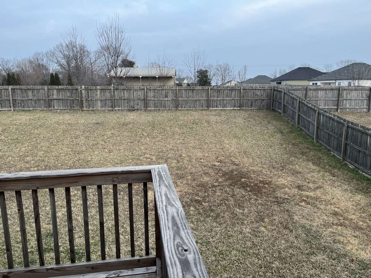 View from back deck