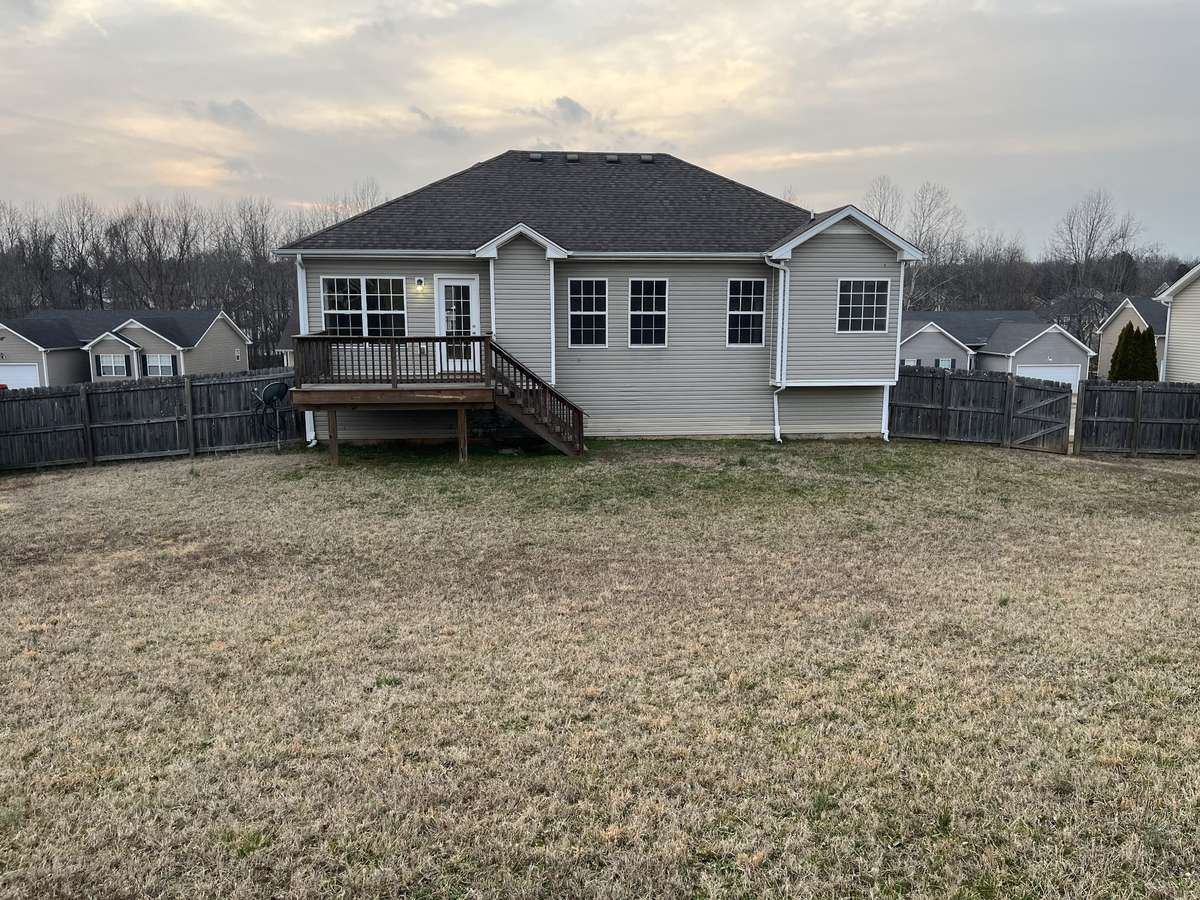 View from the back fence