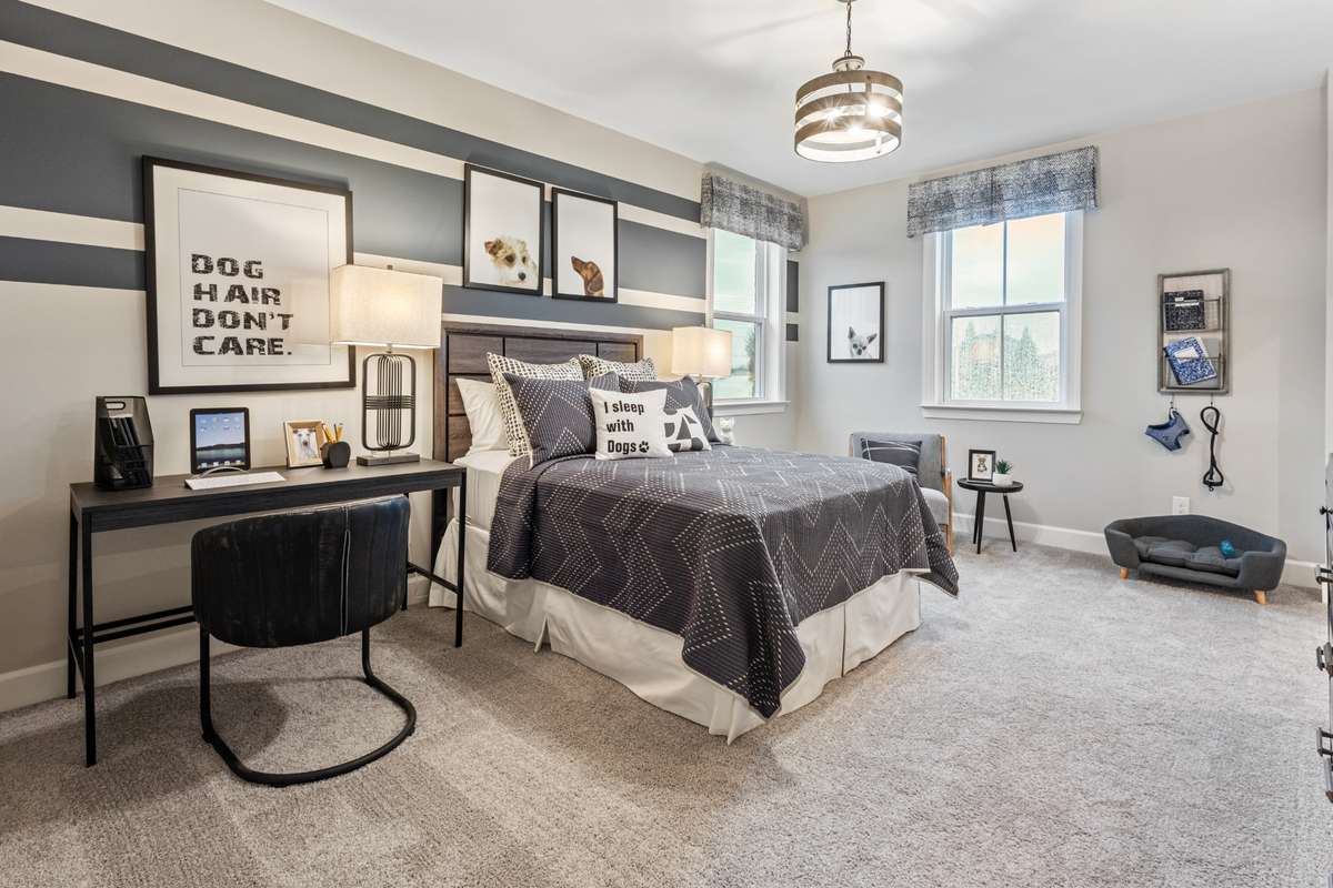 All photos are of model home