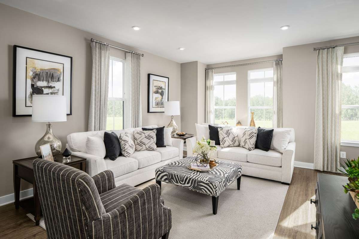 Main level - living area