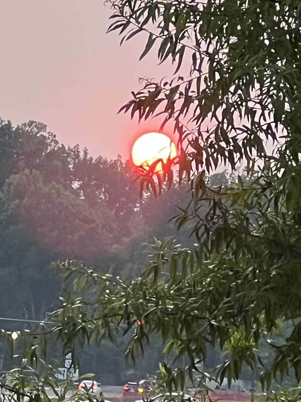 View of the Sunset from the patio