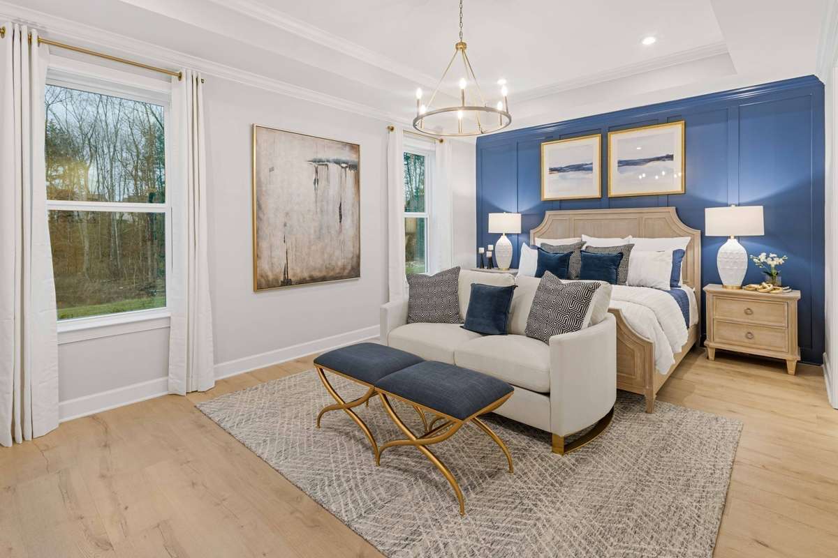 Huge primary suite on the first floor features TWO walk-in closets! King size furnishings shown here. Trey ceiling included and built-in closet shelving included.