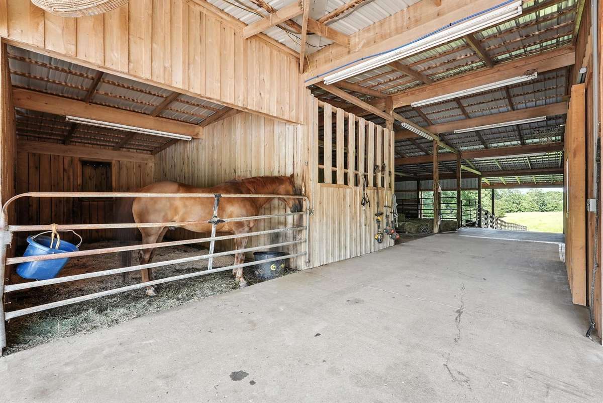 Theres my Buddy Dan.   Please do not mess with the horses. This is their home.