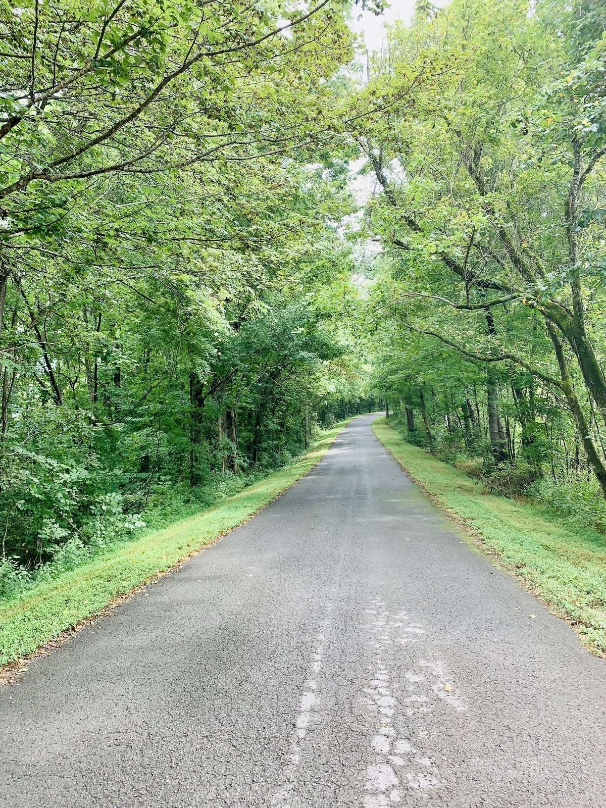 The drive to this home reminds me of Gatlinburg, for those who have been there. Tree lined, shaded & curving roads make it such a lovely drive.