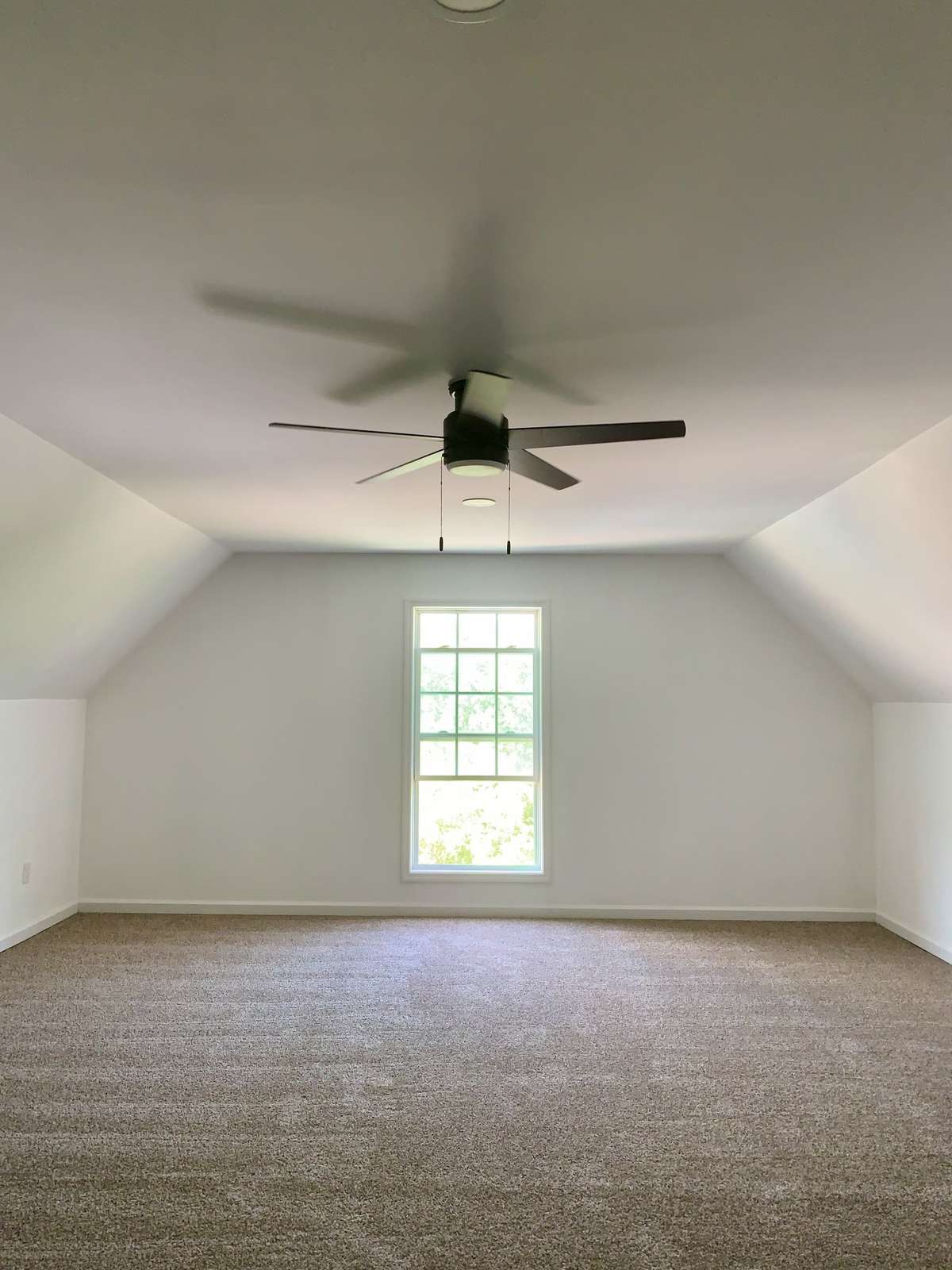Natural light, ceiling fan w light, extra can lights, its own mini-split.