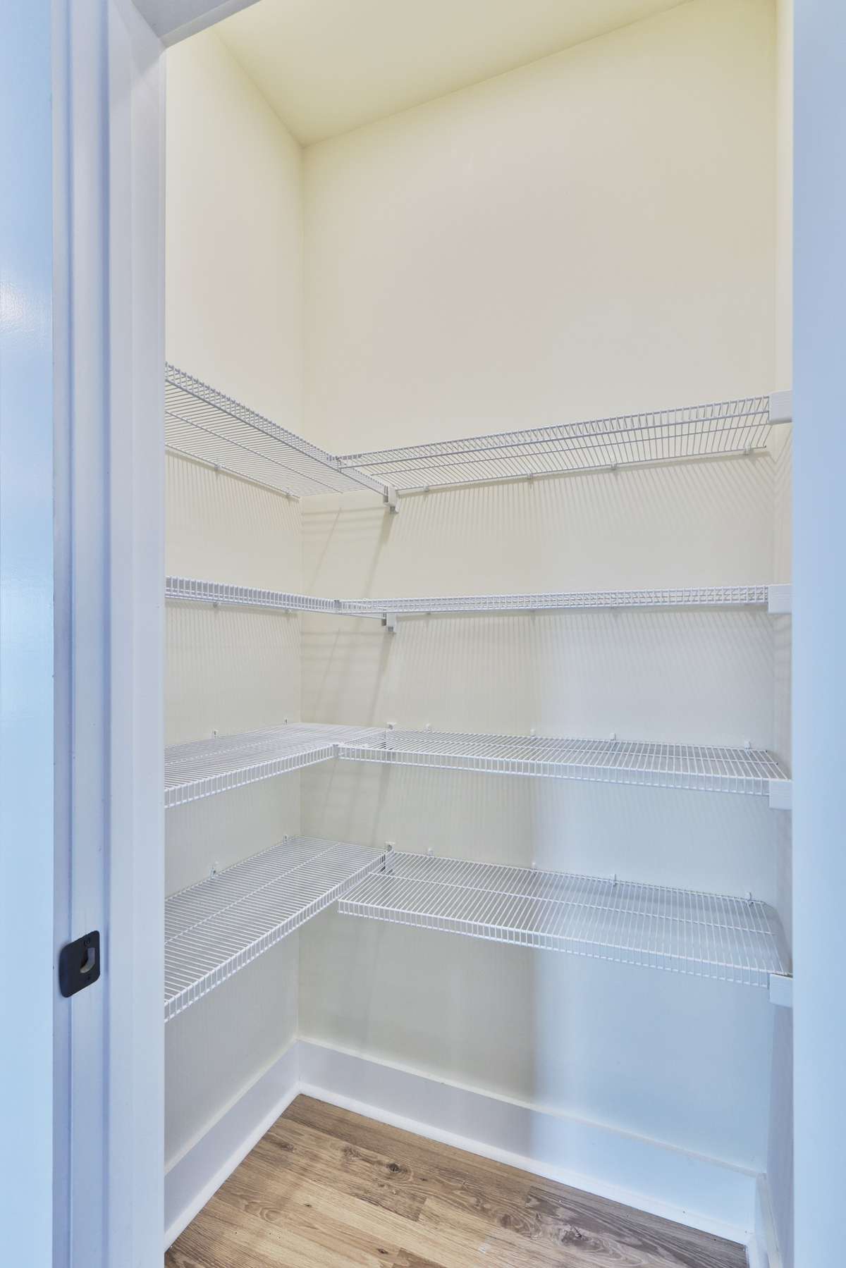 Lighted walk-in pantry with generous space and rows of shelves.