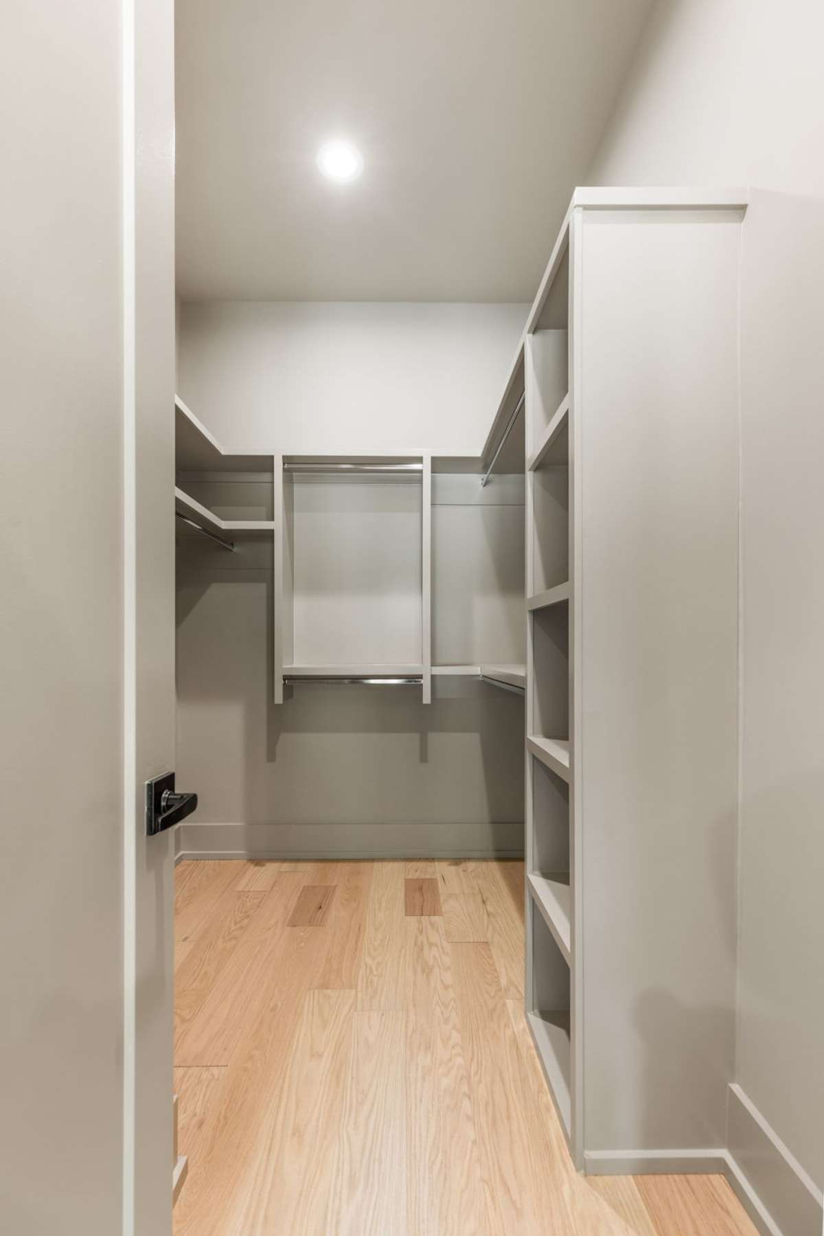 Primary Custom Closet.  Color Drench.