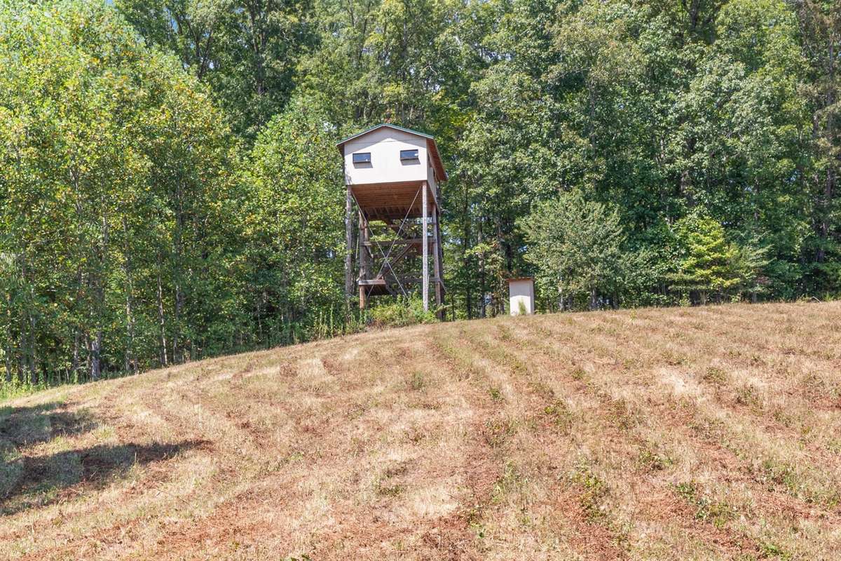 The Hunting Cabin